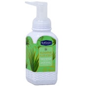 Wholesale - 8.75oz Blooming Aloe Foaming Hand Soap C/P 24, UPC: 850025645478